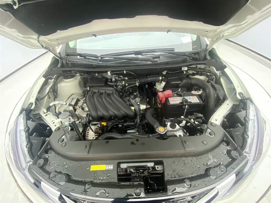 Nissan Sylphy car image #14