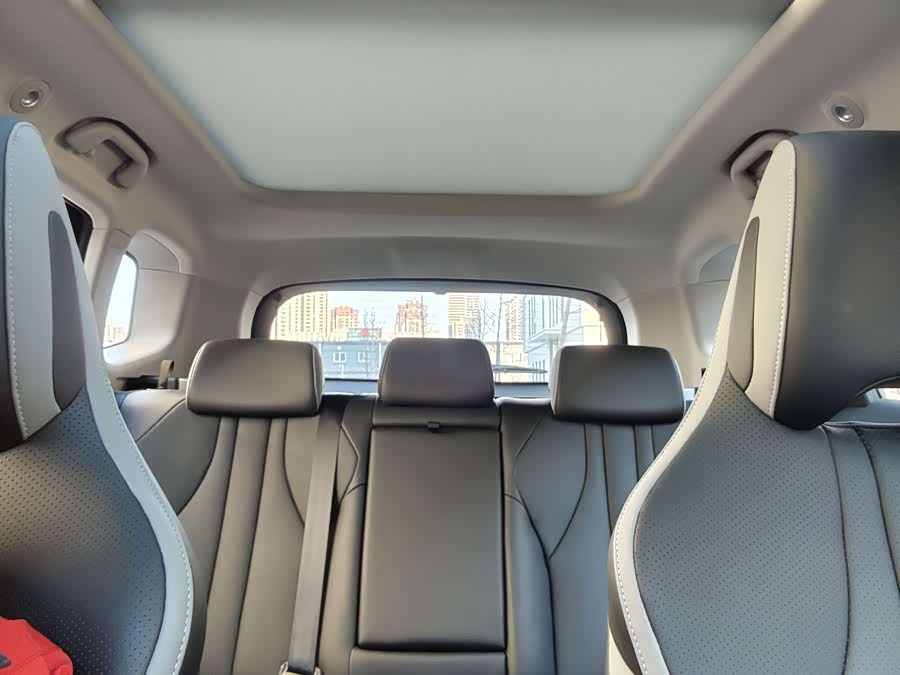 BYD Sea Lion 05 DM-i 2025 car image #14