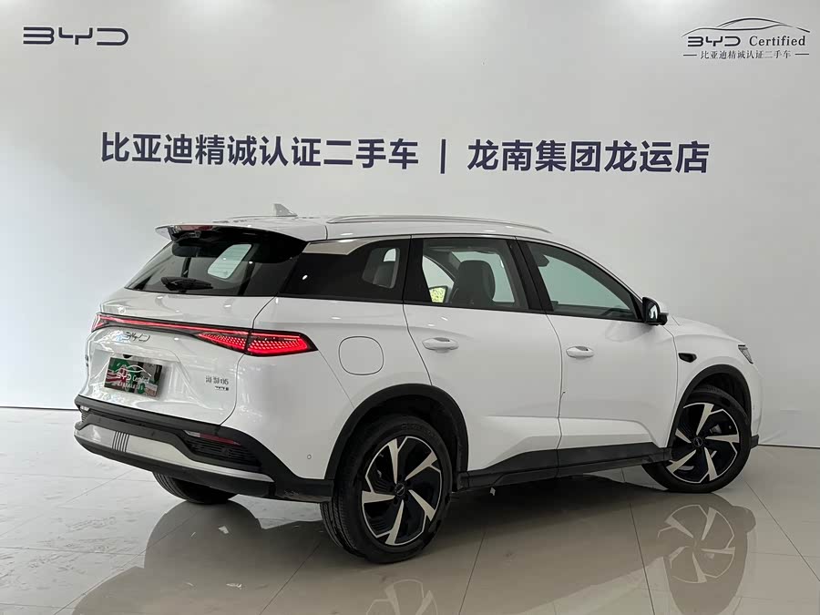 BYD Sea Lion 05 DM-i 2025 car image #14