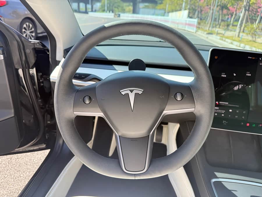 Tesla Model 3 2021 image de voiture #14