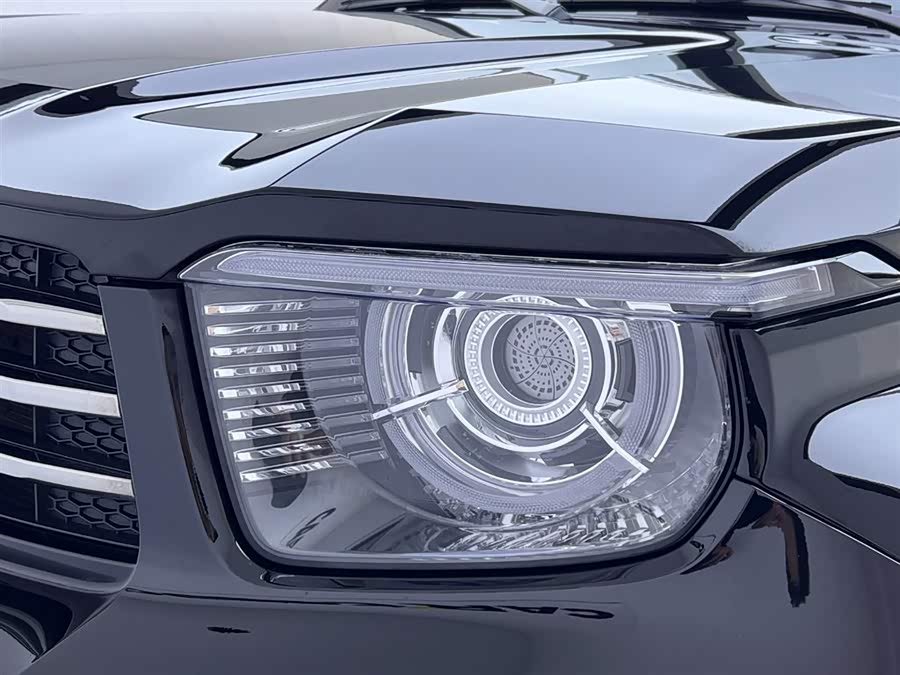 Tank 700 New Energy 2024 #14 Tank 700 New Energy 2024 imagen de coche #14