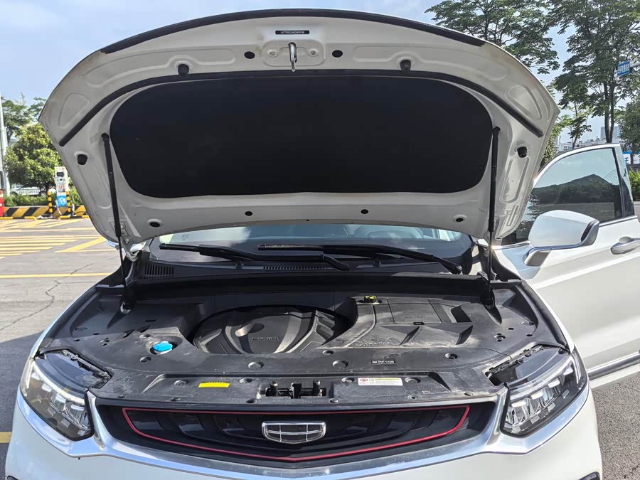 GEELY Tugella 2020 #14 GEELY Tugella 2020 car image #14