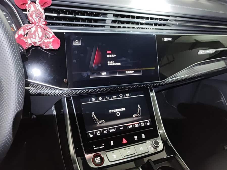 Audi SQ7 2024 car image #14