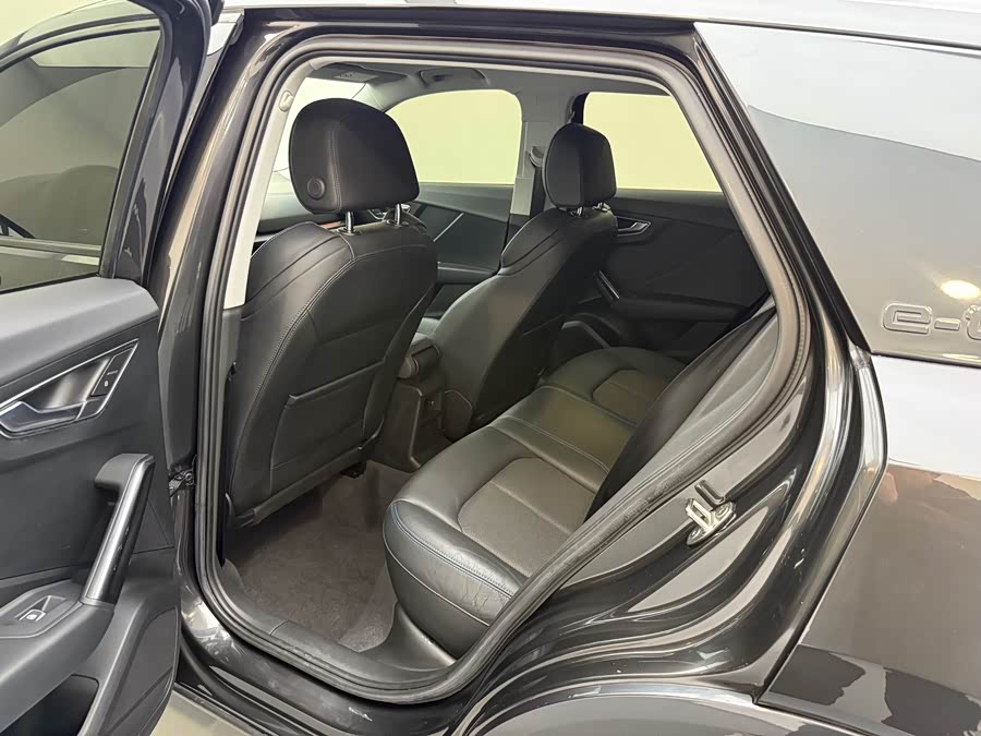 奥迪 奥迪Q2L e-tron 2020 汽车图片 #14