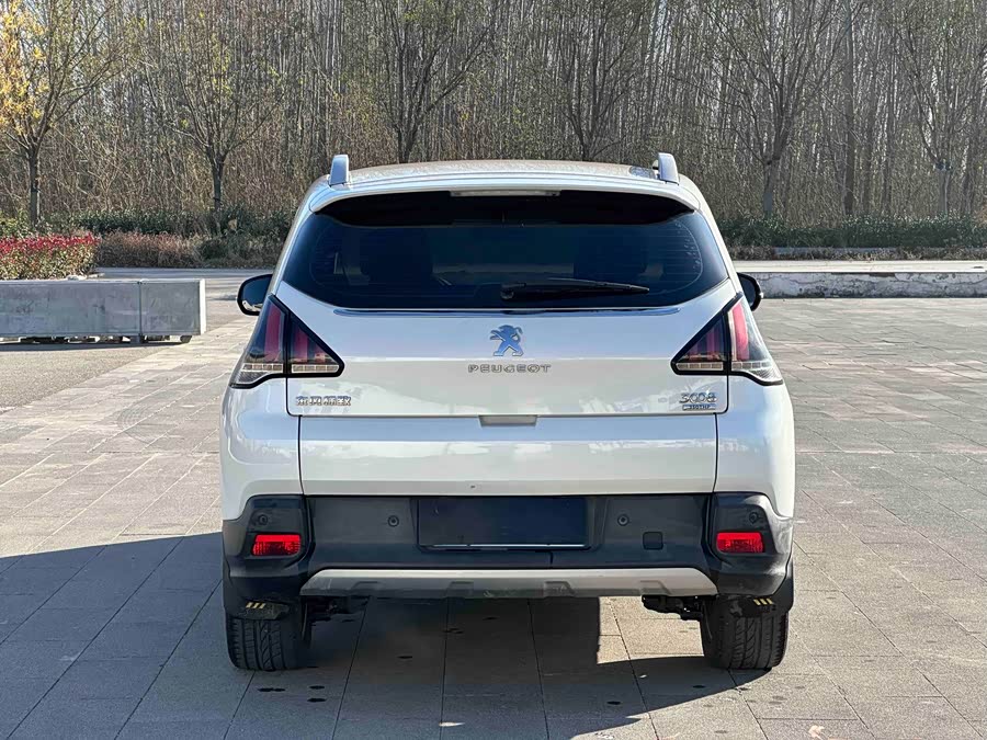 Peugeot 3008 2017 car image #14