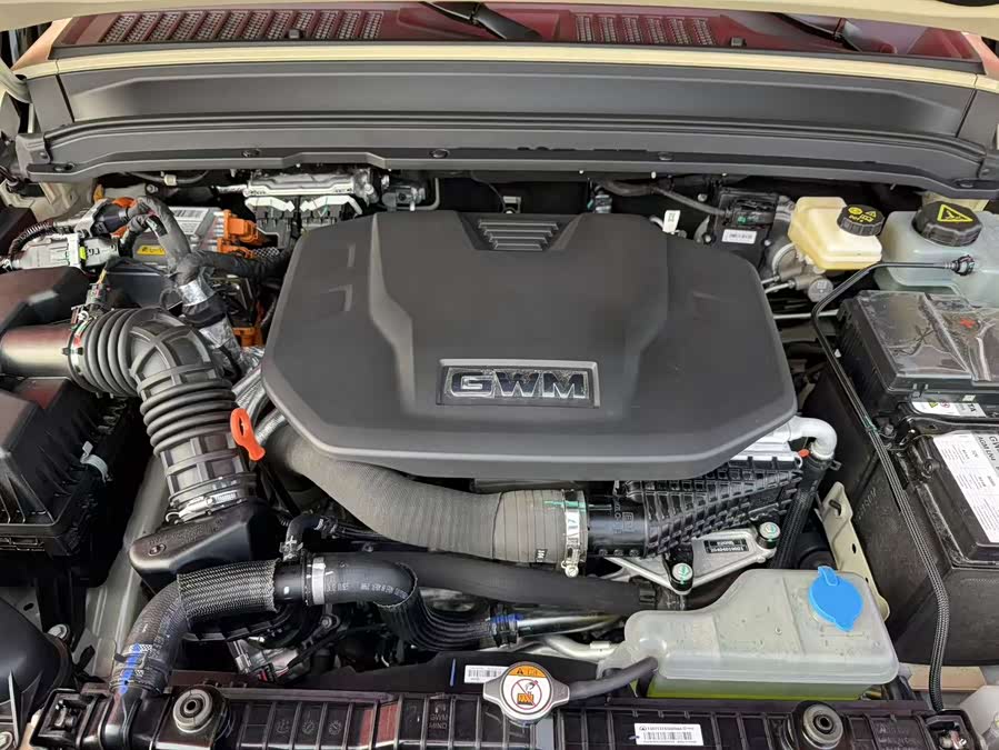 Tank 300 New Energy 2025 car image #14