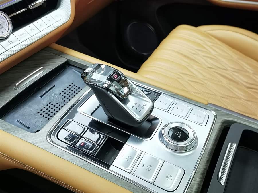 Tank 500 2022 car image #14