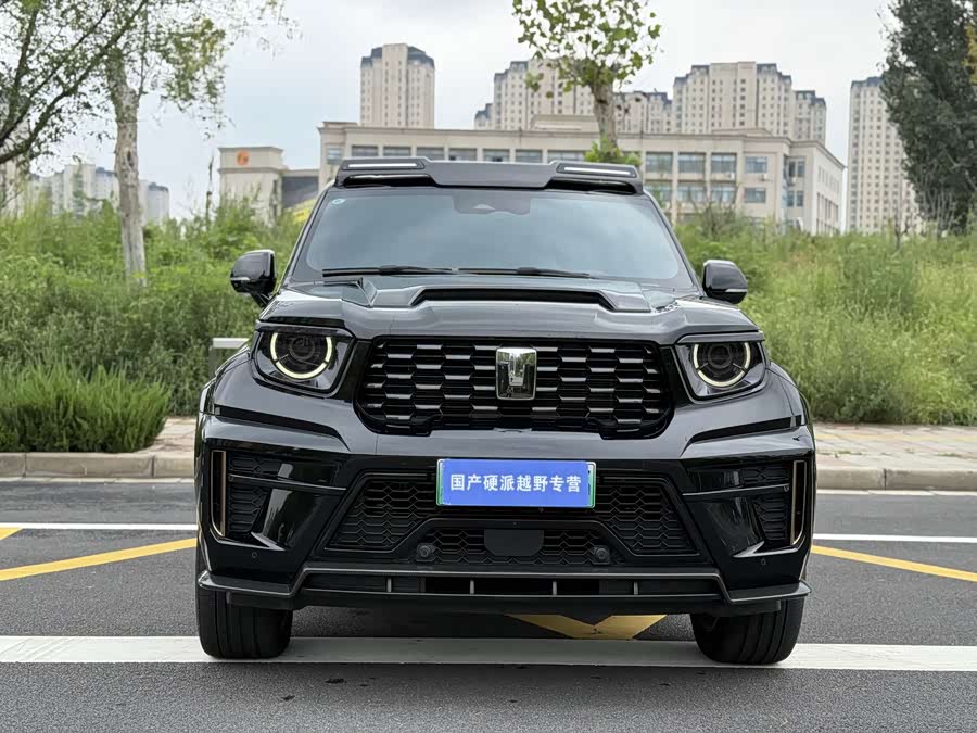 Tank 700 New Energy 2024 car image #14