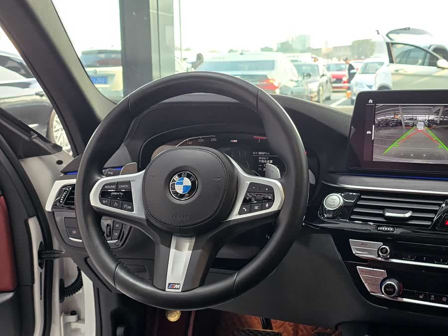 BMW 5 Series 2021 car image #14