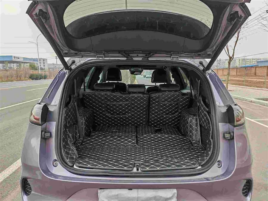 Denza X 2020 image de voiture #14