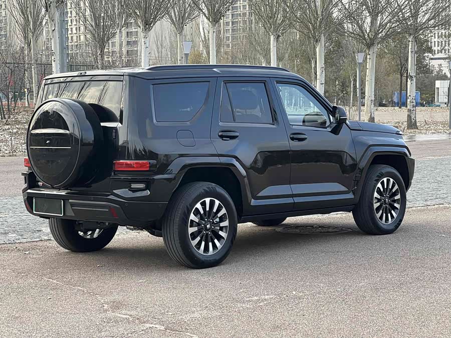 Tank 700 New Energy 2025 immagine di auto #14