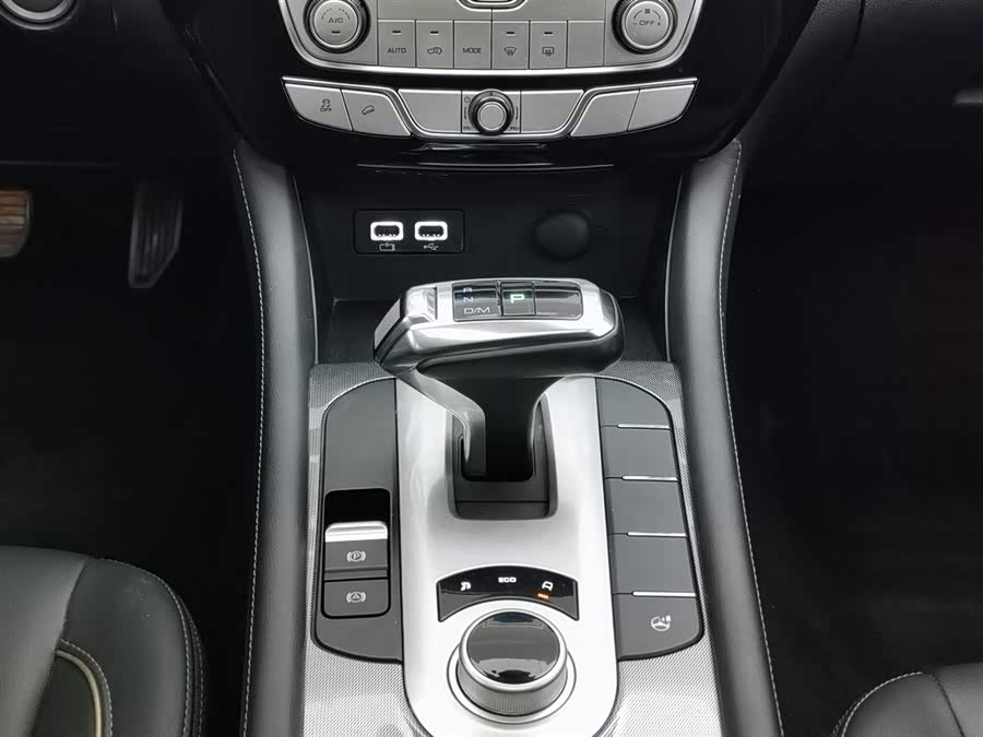 Great Wall Poer 2022 car image #14