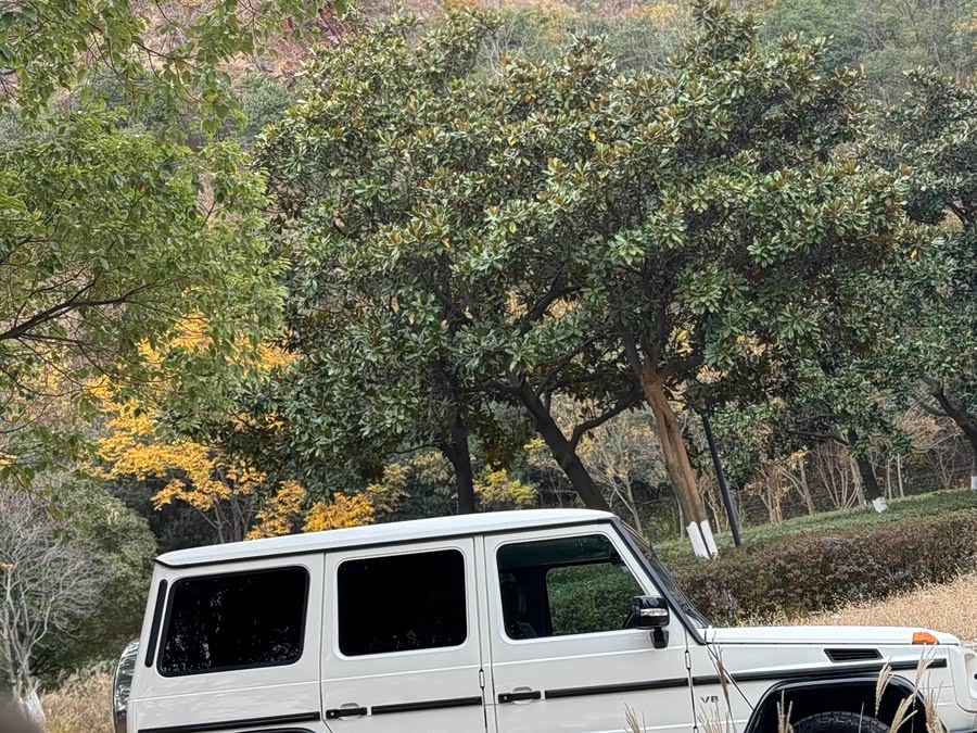 Mercedes-Benz G Class 2013 #14 Mercedes-Benz G Class 2013 immagine di auto #14