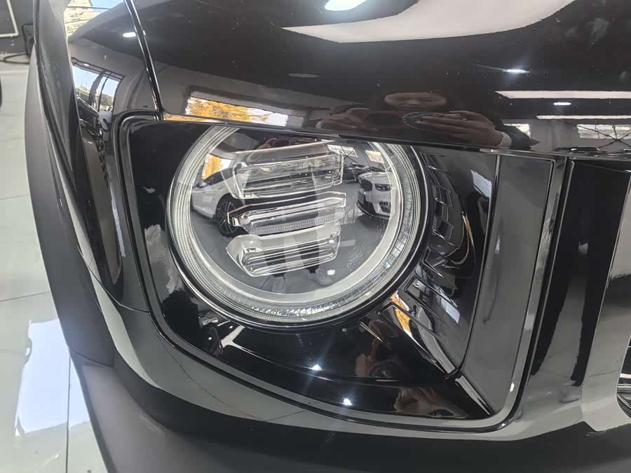 Haval X Dog / Dargo 2022 immagine di auto #14