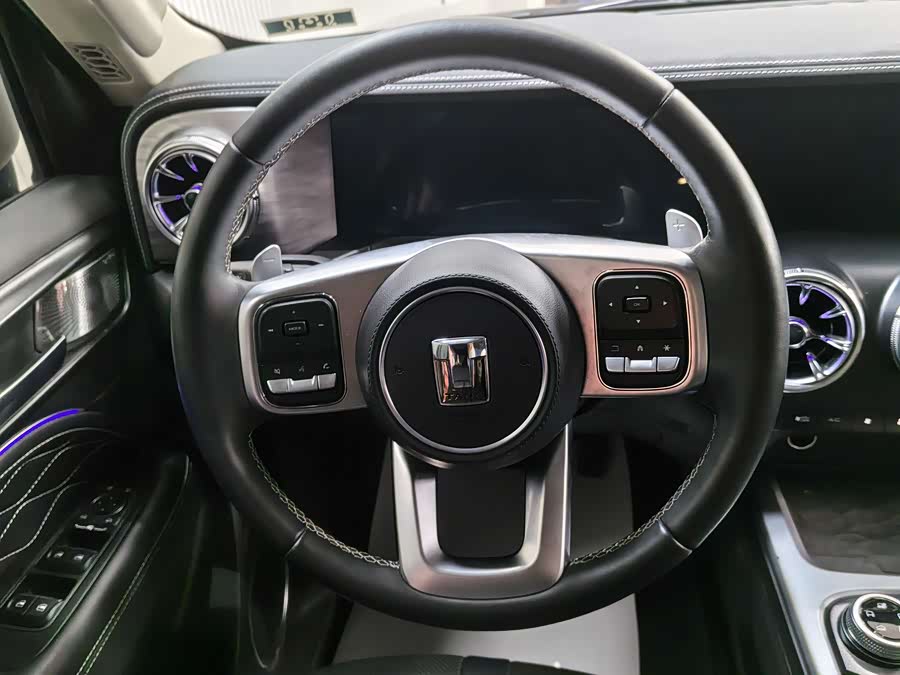 Tank 300 2022 car image #14