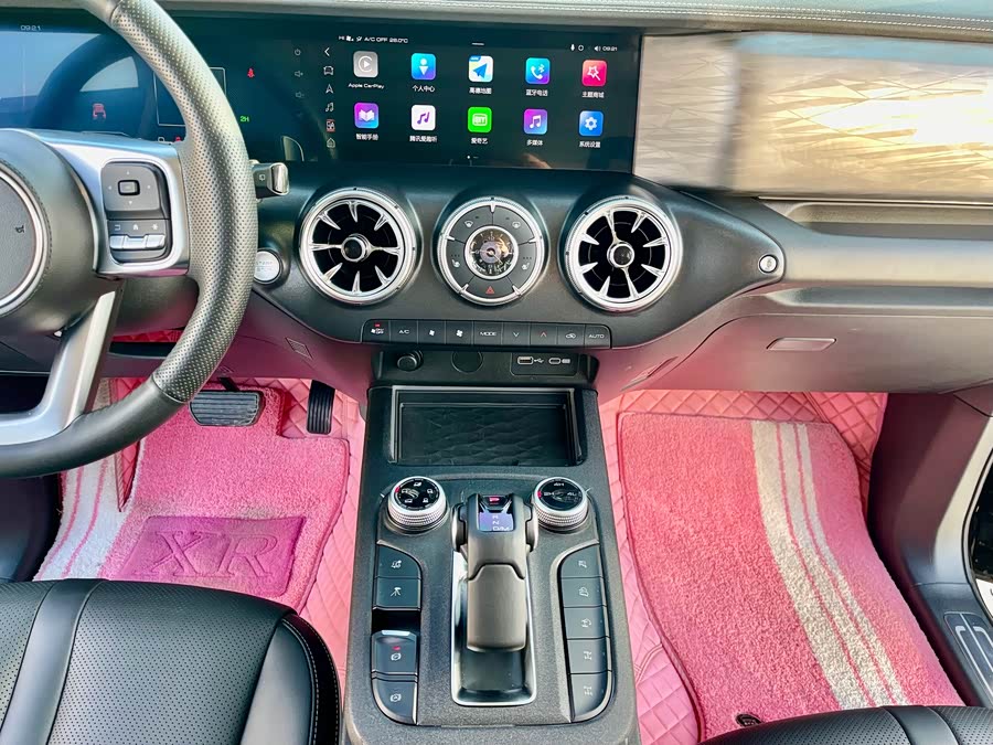 Tank 300 2023 car image #14