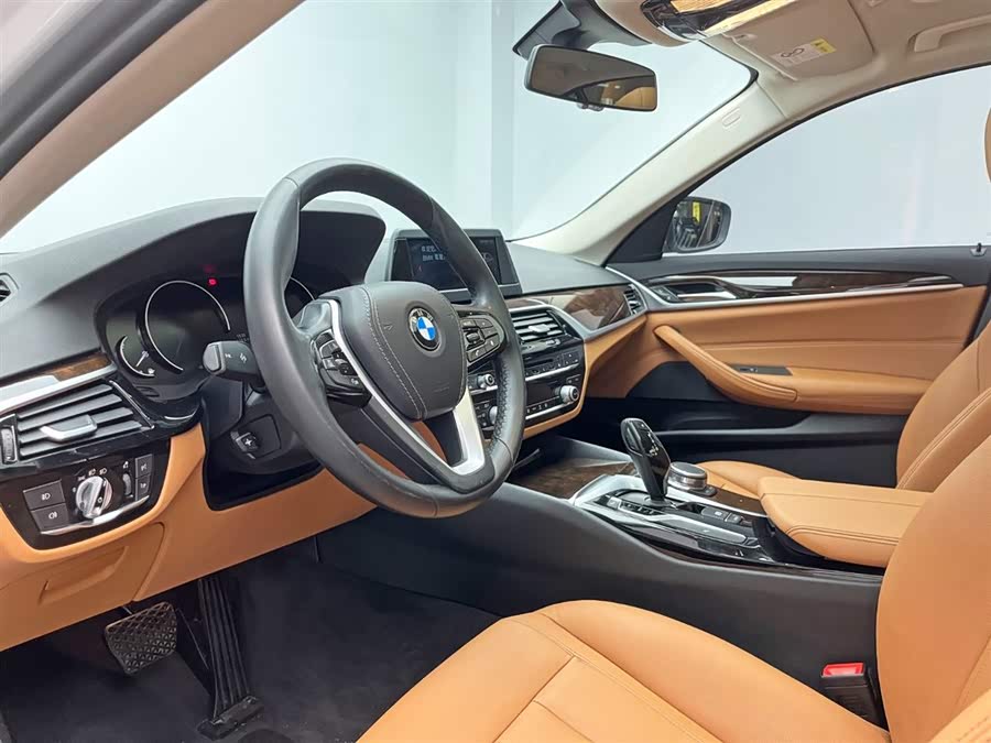 BMW 5 Series 2017 car image #14