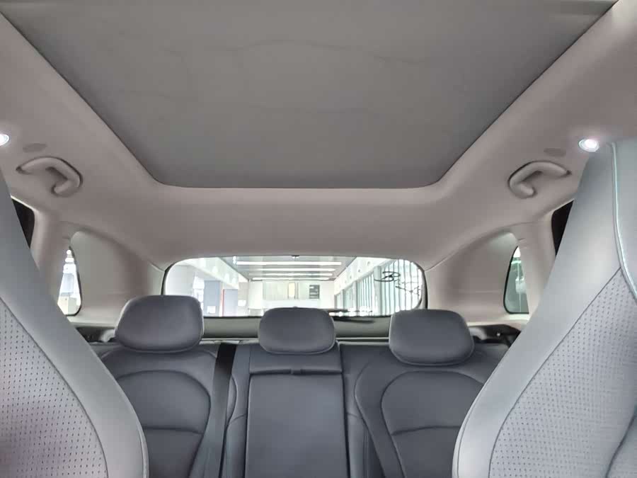 BYD Sea Lion 07 DM-i 2025 car image #14