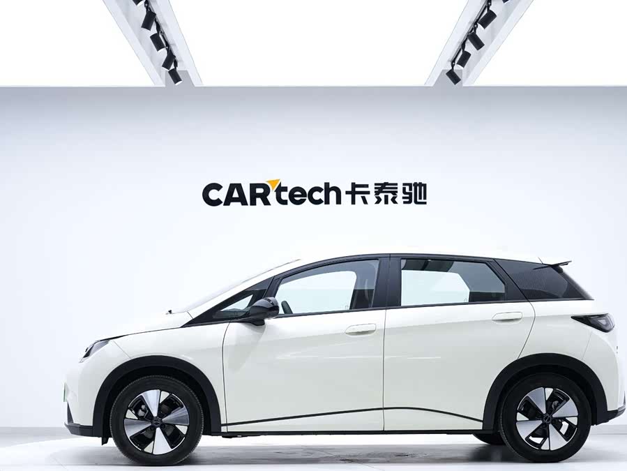 BYD Dolphin 2022 #14 BYD Dolphin 2022 immagine di auto #14