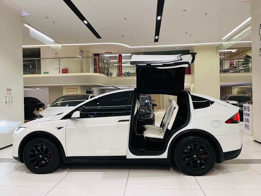特斯拉 Model X 2021 汽车图片 #14