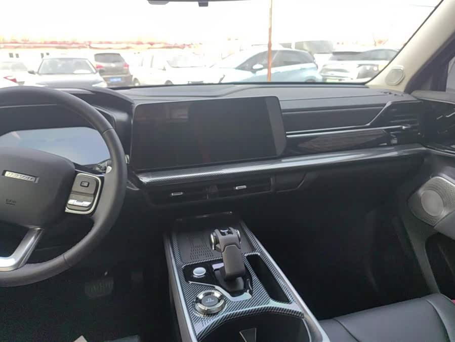 Haval Dargo 2023 immagine di auto #14