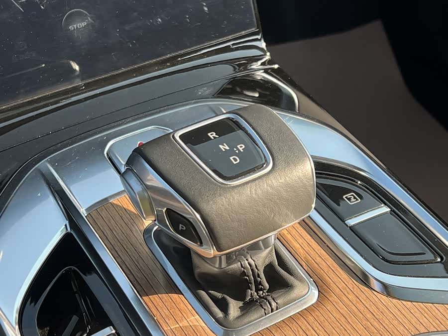 HongQi E-HS9 2023 صورة سيارة #14