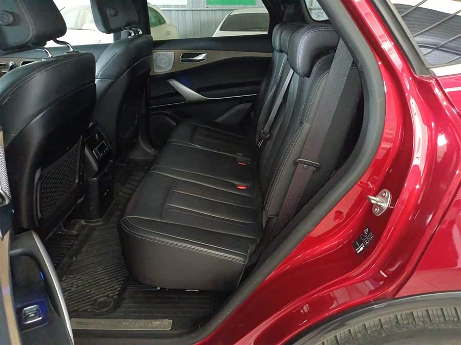 Denza X 2020 car image #14