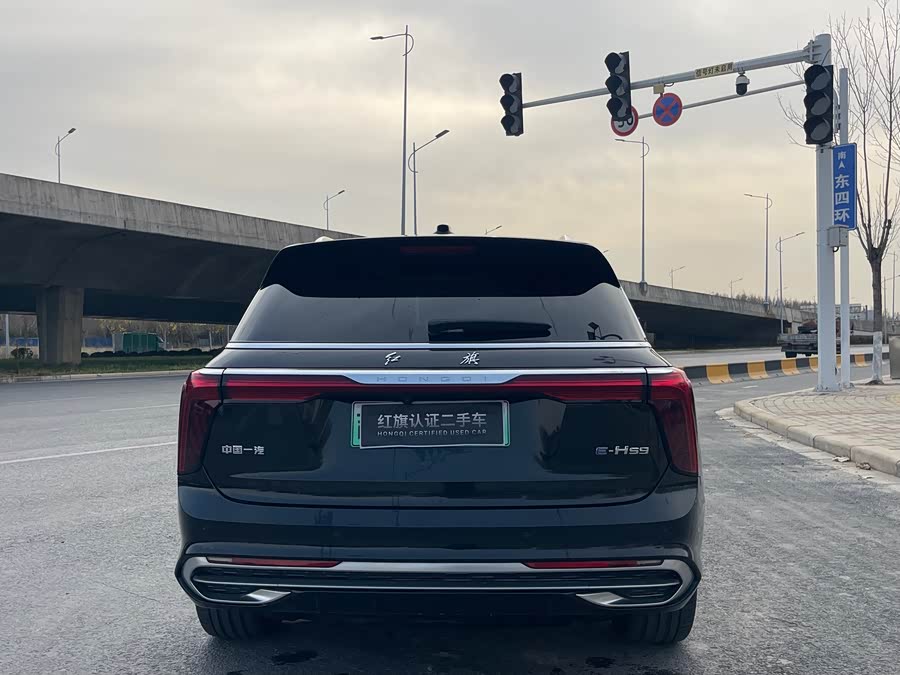HongQi E-HS9 2023 изображение автомобиля #14