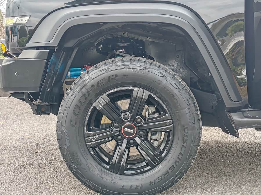 Tank 300 2021 car image #14