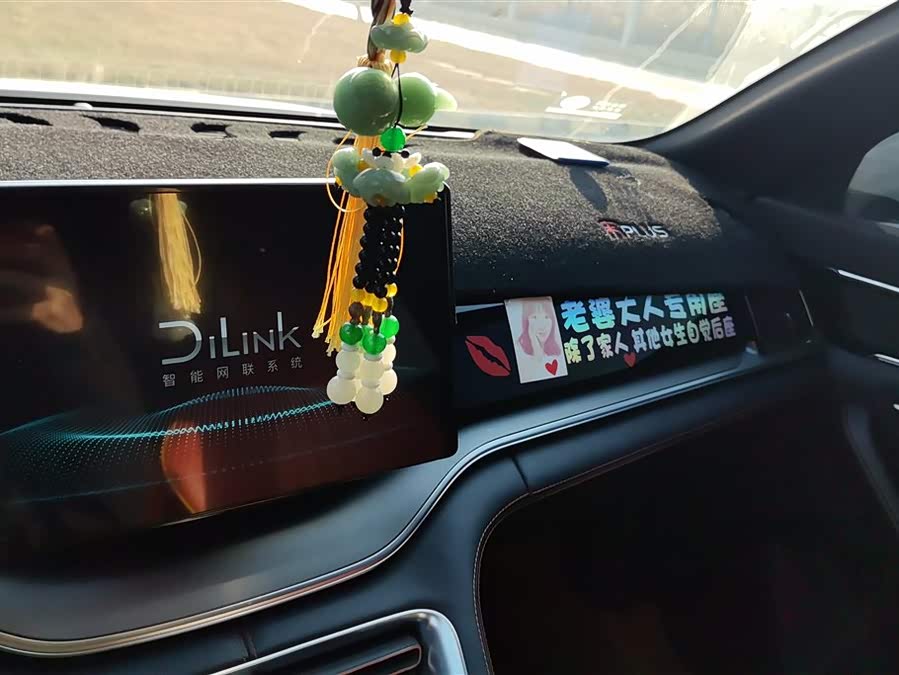 BYD Song Plus 2021 #14 BYD Song Plus 2021 car image #14