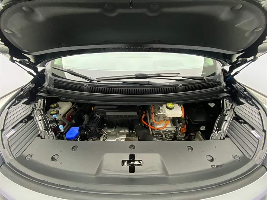 Denza D9 2024 car image #14