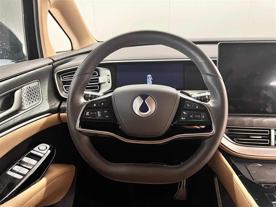 Denza D9 2025 car image #14