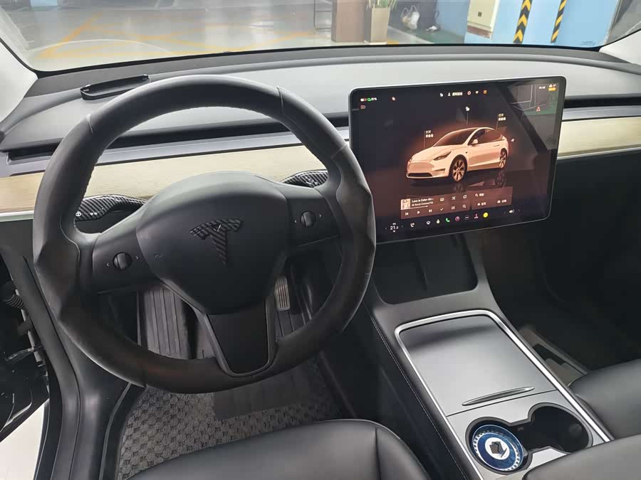 Tesla Model Y 2023 car image #14