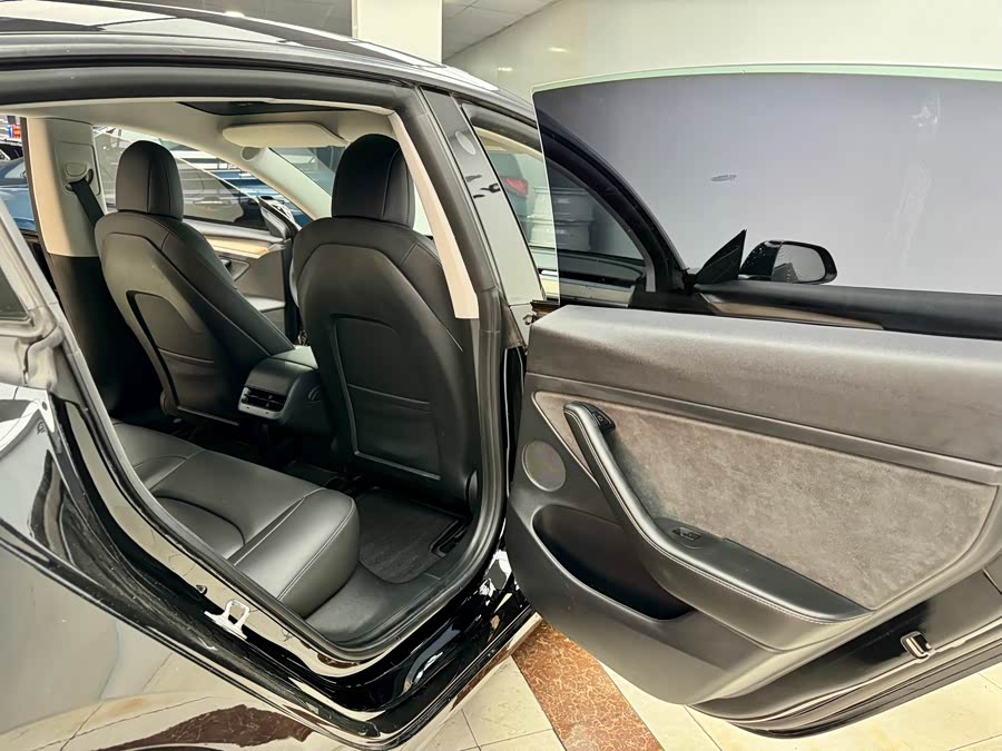 Tesla Model 3 2021 car image #14