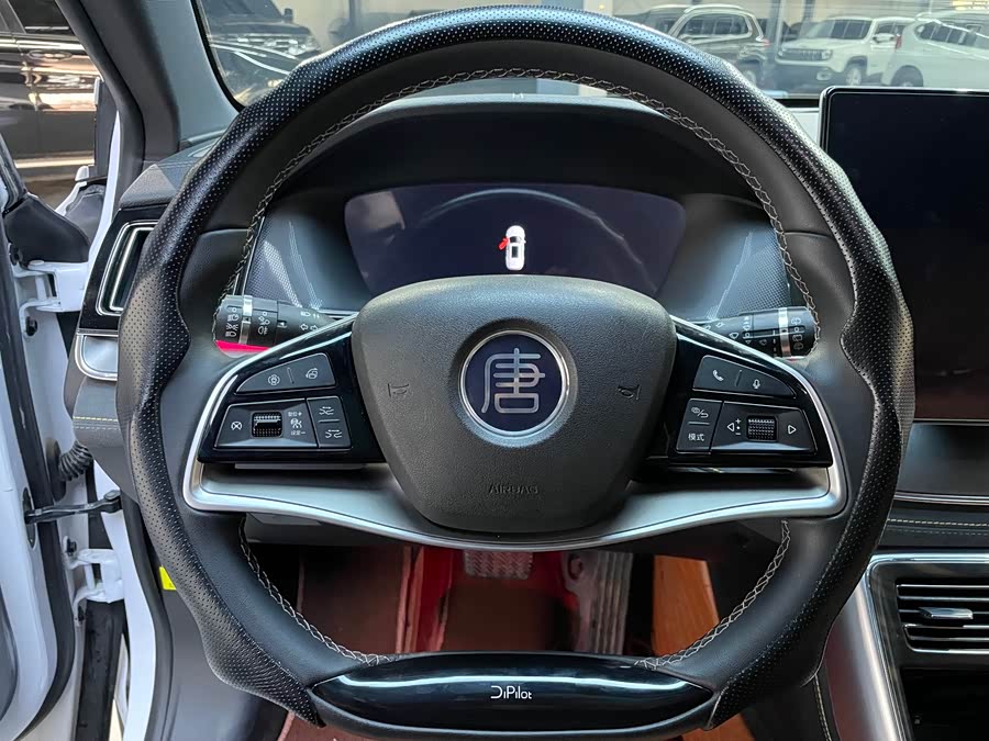 BYD Tang New Energy 2023 car image #14