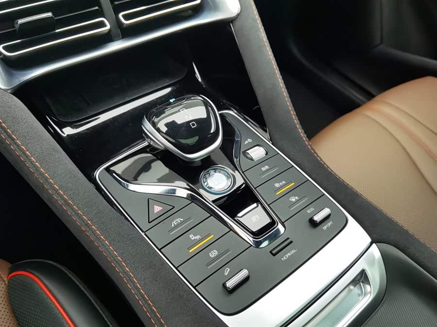 BYD Song Plus 2020 #14 BYD Song Plus 2020 immagine di auto #14