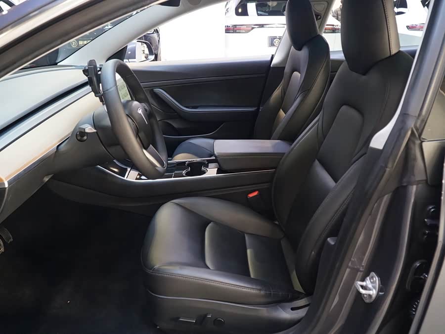 Tesla Model 3 2020 car image #14