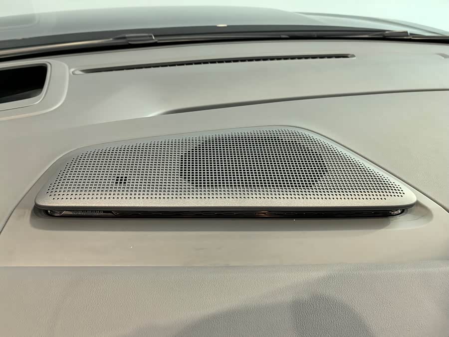 极氪 极氪009 2024 汽车图片 #14