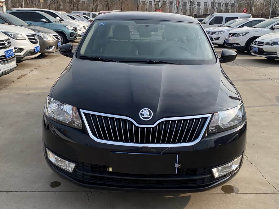 Skoda Rapid 2013 car image #14