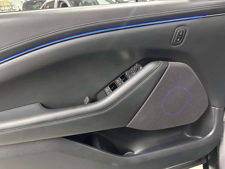 Ford Mustang Mach-E 2022 car image #14