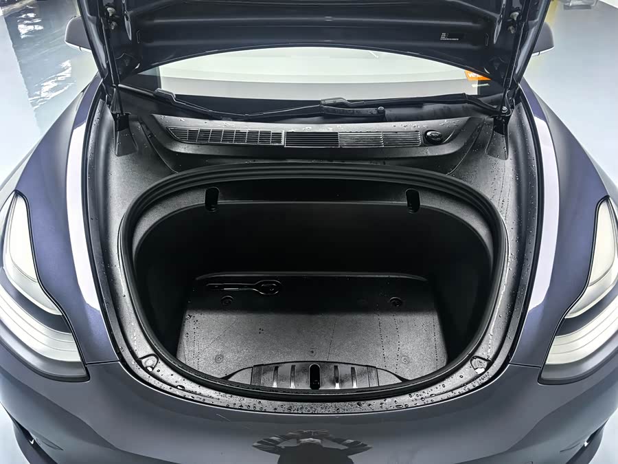 Tesla Model 3 2020 car image #14