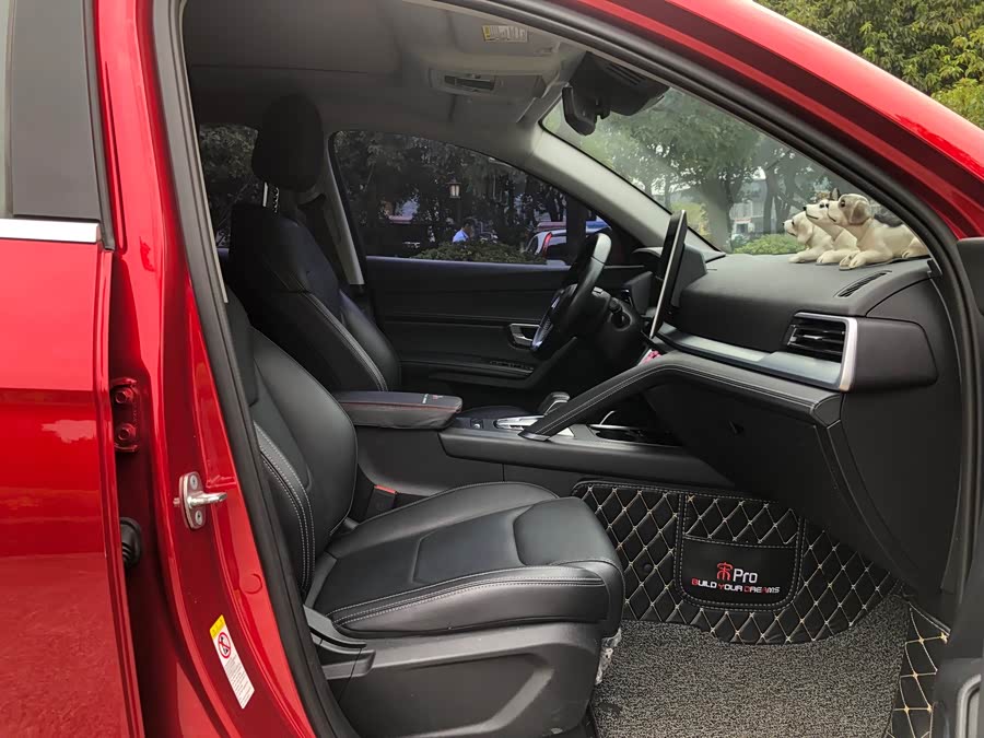 BYD Song Pro 2019 immagine di auto #14