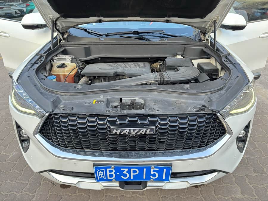 Haval F7 2019 immagine di auto #14