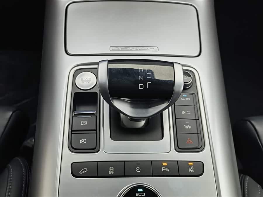 Denza X 2020 #14 Denza X 2020 car image #14