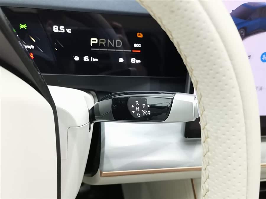 Neta L 2024 imagen de coche #14