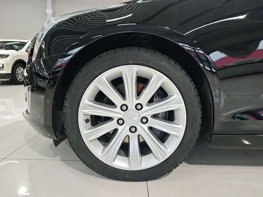 2019 #14 2019 car image #14