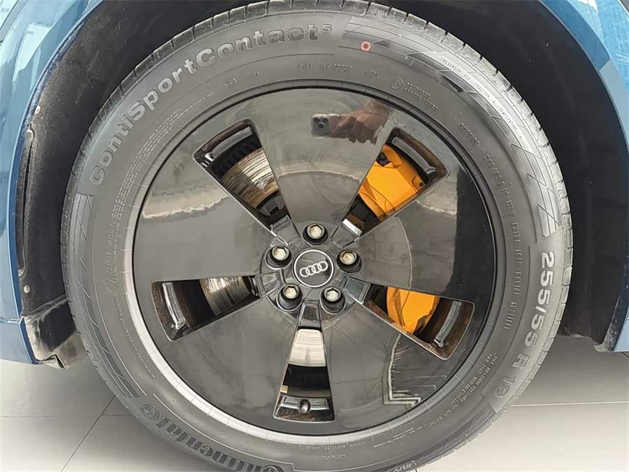 奥迪 奥迪e-tron(进口) 2021 汽车图片 #14