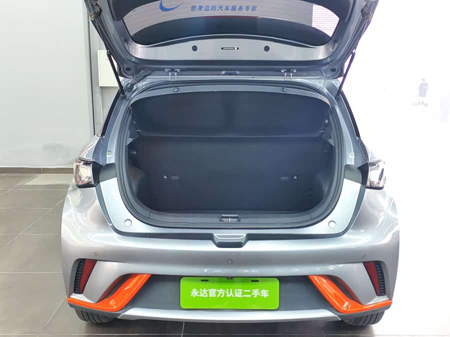 BYD Dolphin 2022 car image #14