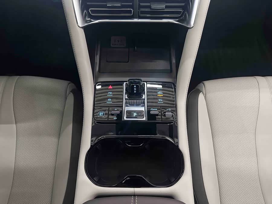 BYD Song Plus New Energy 2025 #14 BYD Song Plus New Energy 2025 car image #14