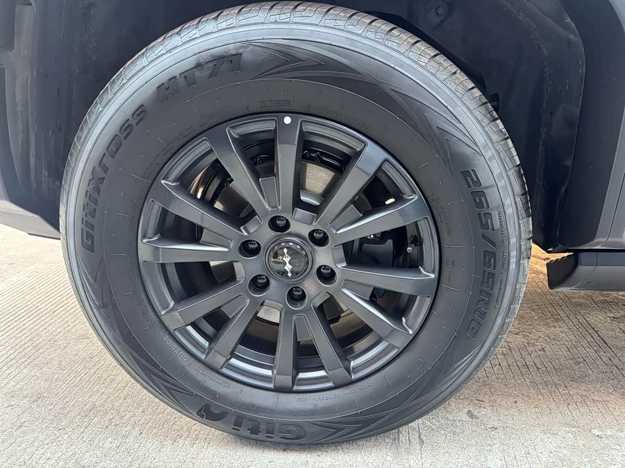 FangChengBao Leopard 5 2024 #14 FangChengBao Leopard 5 2024 car image #14